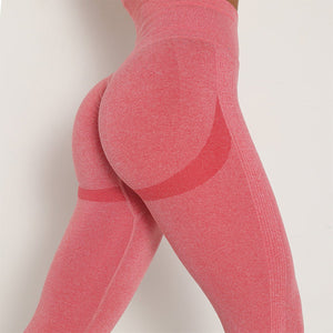Smile - Contour Seamless Leggings | Sculpted. Seamless. Superior. - Negative Apparel