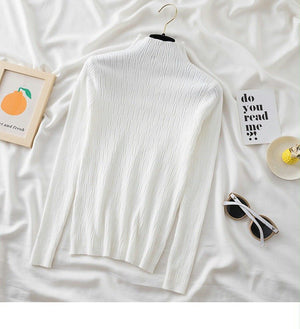 Spring and autumn new sweater women's bottoming shirt with long - sleeved top inside slim - fitting versatile semi - turtleneck knitted sweater women's texture - Negative Apparel