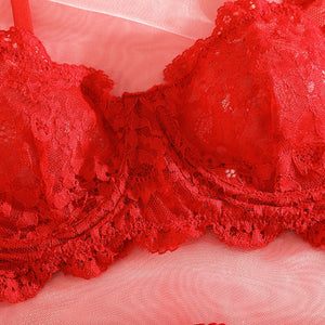 Suspender lace perspective sxy lingerie bra set - Negative Apparel