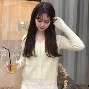 V - neck knitted cardigan top autumn and winter new retro foreign style sweater with long sleeves short jacket women's wholesale - Negative Apparel