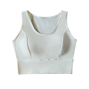 Women’s Nylon Mesh Pullover Top – High Elastic Short - Length Gauze Shirt for Spring 2025, Japanese & Korean Casual Style - Negative Apparel