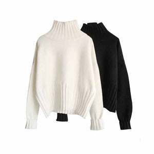 Women’s Thick High Neck Knit Sweater | Elegant Slim Fit Pullover Top – Black & White | Autumn Winter Commuter Style - Negative Apparel