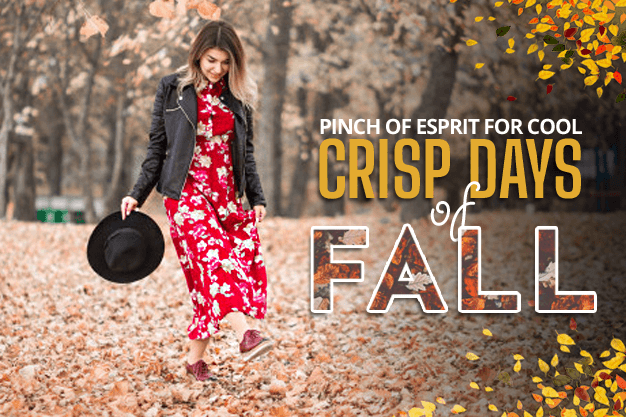 PINCH OF ESPRIT FOR COOL, CRISP DAYS OF FALL - Negative Apparel