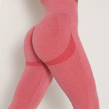 Smile-Contour Seamless Leggings | Sculpted. Seamless. Superior.