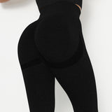 Smile-Contour Seamless Leggings | Sculpted. Seamless. Superior.