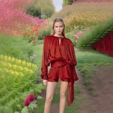 Pleated Mesh Puff Sleeve Mini Dress