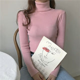 Full Turtleneck Slim Knit Sweater