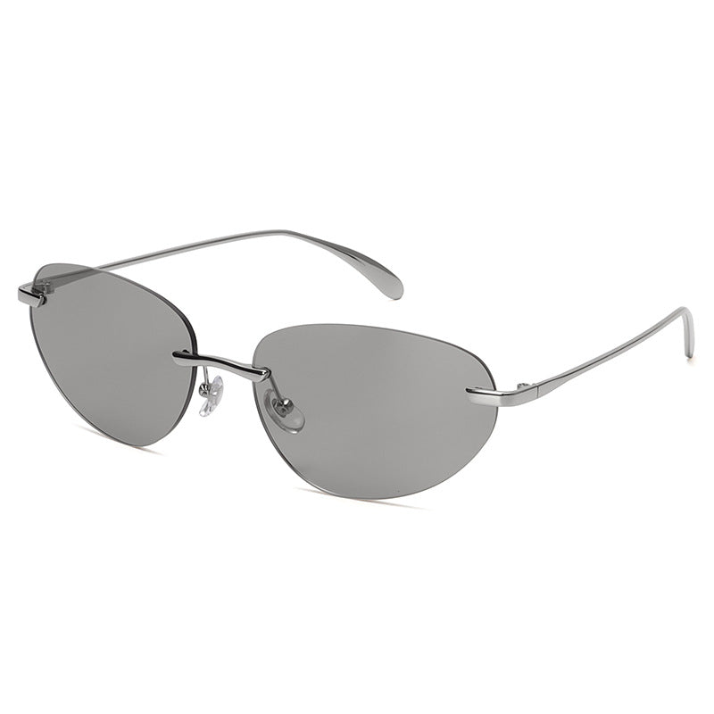 Tinted Lens Metal Sunglasses with Case