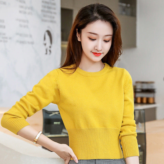 Cropped Crew Neck Slim Knit Top