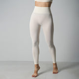 Seamless High Stretch Leggings
