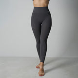 Seamless High Stretch Leggings