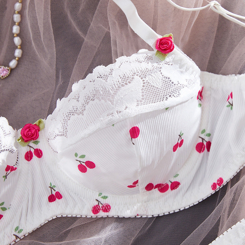 Embroidered Lace Underwire Bra Set