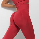 Smile-Contour Seamless Leggings | Sculpted. Seamless. Superior.