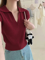 Knitted Polo Collar Short Sleeve Top