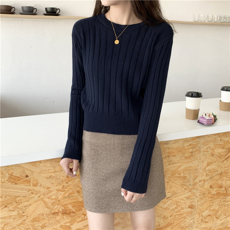 Vertical Rib Loose Crew Neck Knit Top