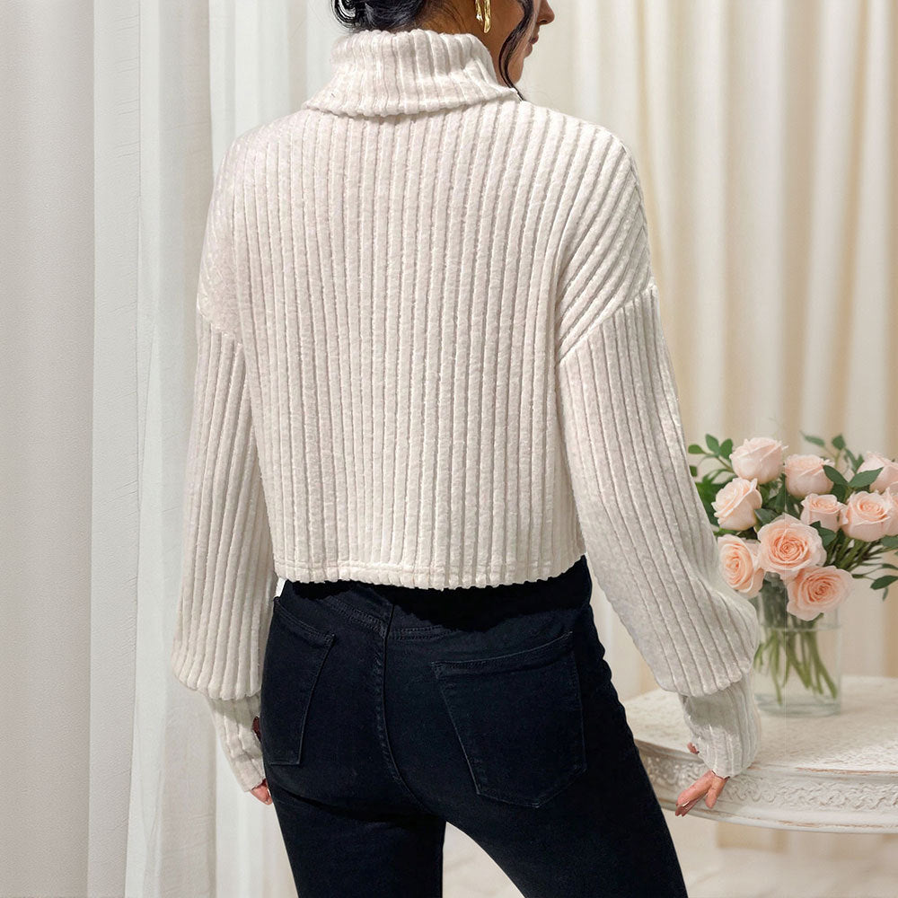 Ribbed Turtleneck Crop Top