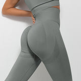 Smile-Contour Seamless Leggings | Sculpted. Seamless. Superior.