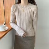 Vertical Rib Loose Crew Neck Knit Top