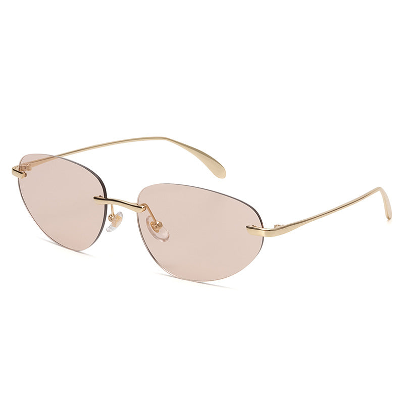 Tinted Lens Metal Sunglasses with Case