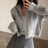 Double zipper twist sweater jacket autumn and winter 2023 new Korean version retro temperament student women's knitted cardigan jacket - Negative Apparel