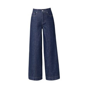 Four - sided elastic wide - leg pants jeans women's 2025 spring new Tencel high - waisted thin loose and versatile straight - leg pants - Negative Apparel