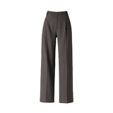 Gray Tencel wool narrow version suit pants 2024 autumn and winter drape loose professional thin wide - leg pants women - Negative Apparel