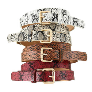 Snake pattern belt women's belt jeans versatile ladies decorative black pants belt student simple trendy casual - Negative Apparel