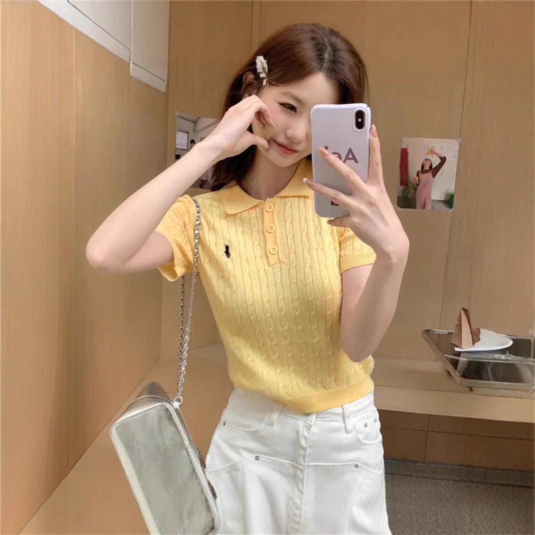 Spring and Summer Polo Neck Knitted Sweater Women's Pony Embroidered Slim Sleeve Short Sleeve T-Shirt Bottom Shirt Vintage Twist Top - Negative Apparel
