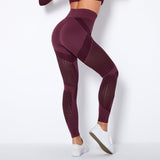 The Sculpt - Flex | Seamless Mesh - Panel High - Waist Yoga Pants - Negative Apparel