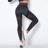 The Sculpt - Flex | Seamless Mesh - Panel High - Waist Yoga Pants - Negative Apparel