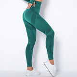 The Sculpt - Flex | Seamless Mesh - Panel High - Waist Yoga Pants - Negative Apparel
