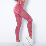 The Sculpt - Flex | Seamless Mesh - Panel High - Waist Yoga Pants - Negative Apparel