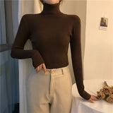 turtleneck sweater women's autumn and winter Korean version of foreign style slim - fitting versatile knitted bottoming shirt with long - sleeved pullover inside and outside - Negative Apparel