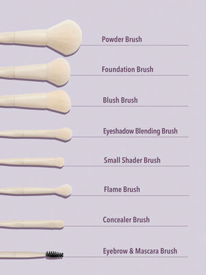 SHEGLAM Pro Core Brush Kit 8 Pcs/Set Professional Makeup Brushes Set - Negative Apparel