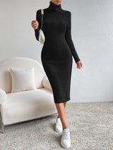 SHEIN Turtleneck Ribbed Knit Bodycon Dress - Negative Apparel